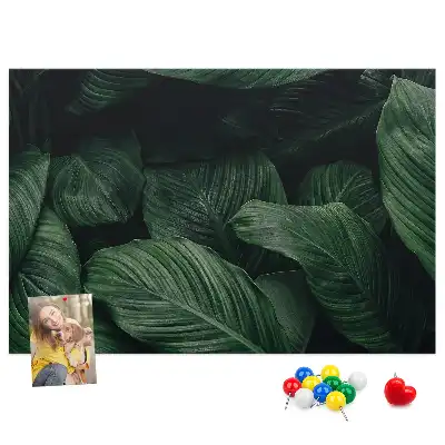 Memobord van kurk Tropische monstera