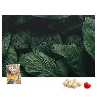 Memobord van kurk Tropische monstera
