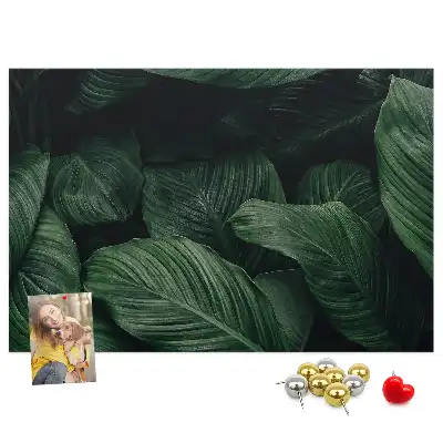 Memobord van kurk Tropische monstera