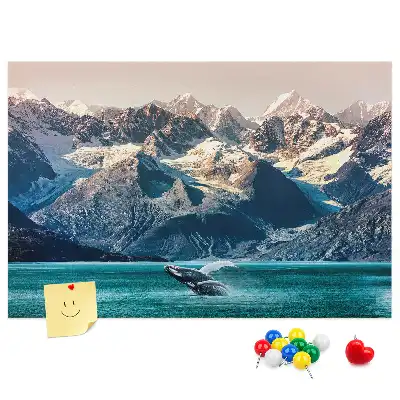 Kurken prikbord in de vorm van een walvis