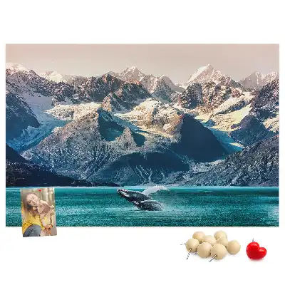 Kurk prikbord Walvis water
