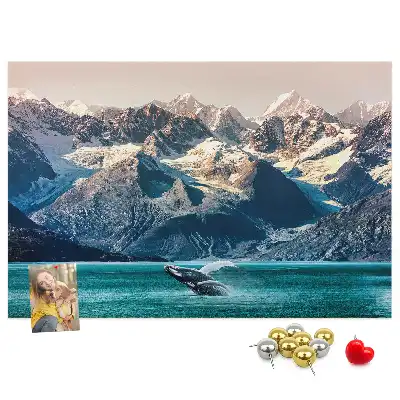 Kurk prikbord Walvis water