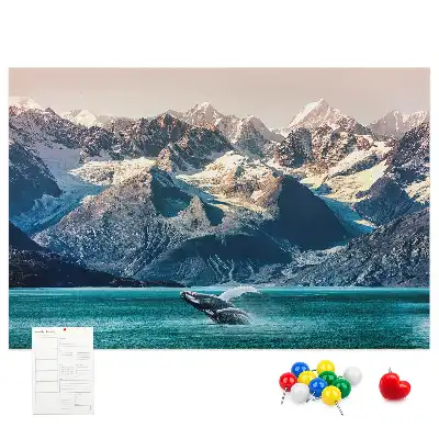 Kurk prikbord Walvis water