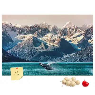Kurk prikbord Walvis water