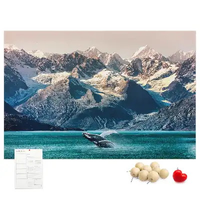 Kurk prikbord Walvis water