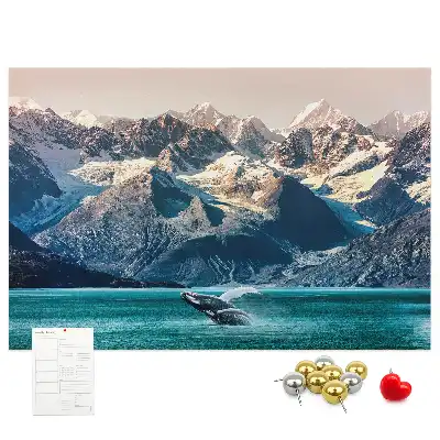 Kurk prikbord Walvis water