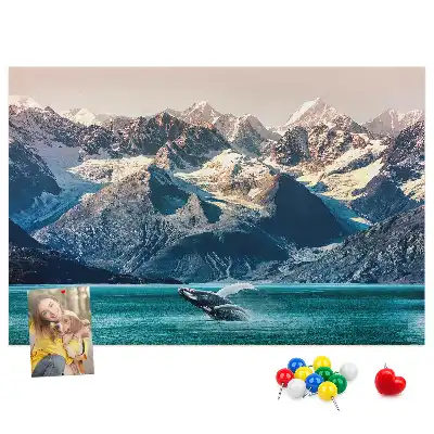 Kurk prikbord Walvis water
