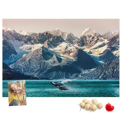 Kurk prikbord Walvis water