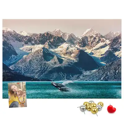 Kurk prikbord Walvis water