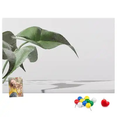 Memobord van kurk Abstracte bladeren