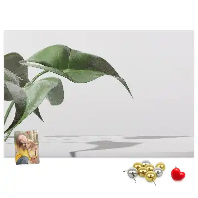 Memobord van kurk Abstracte bladeren