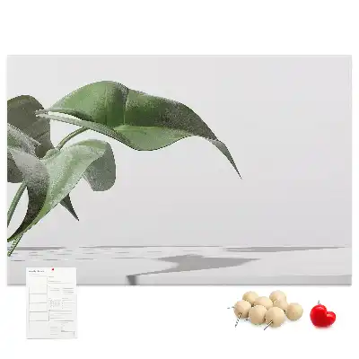 Memobord van kurk Abstracte bladeren