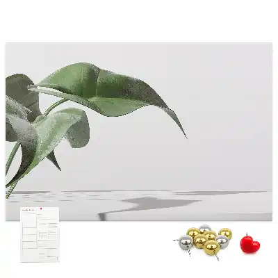 Memobord van kurk Abstracte bladeren