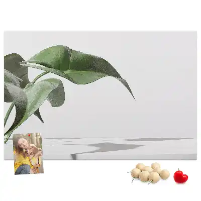 Memobord van kurk Abstracte bladeren