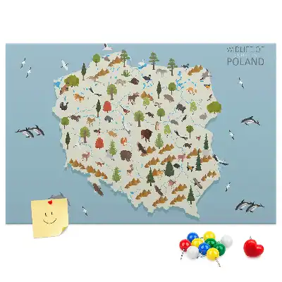 Memobord van kurk met kaart van Polen