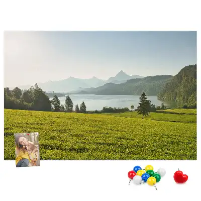 Memobord van kurk Bergen veld