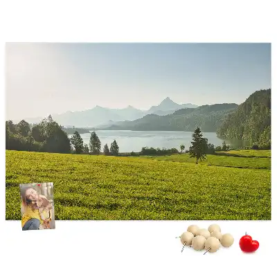 Memobord van kurk Bergen veld