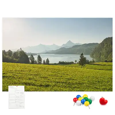 Memobord van kurk Bergen veld