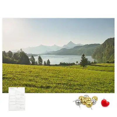 Memobord van kurk Bergen veld