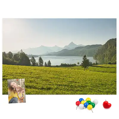 Memobord van kurk Bergen veld