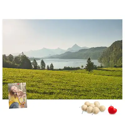 Memobord van kurk Bergen veld