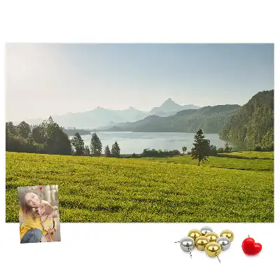 Memobord van kurk Bergen veld