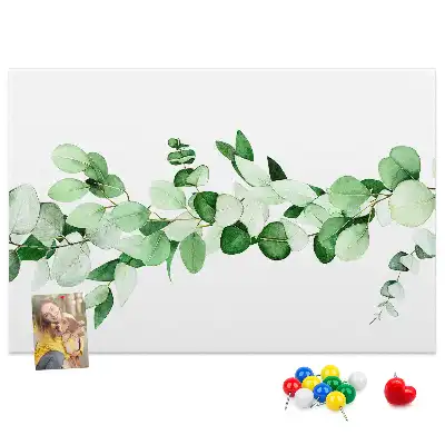 Kurk prikbord Plantentakje