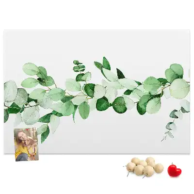 Kurk prikbord Plantentakje
