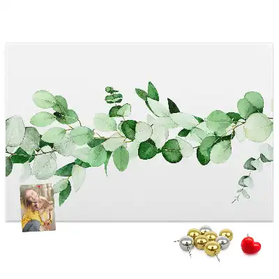 Kurk prikbord Plantentakje
