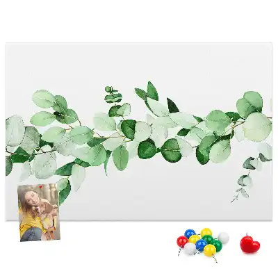 Kurk prikbord Plantentakje