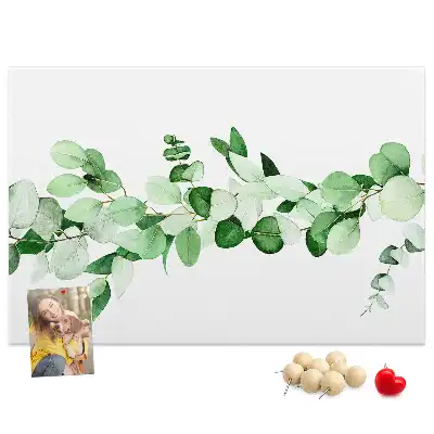 Kurk prikbord Plantentakje