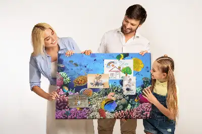 Kurk prikbord Onderwaterleven