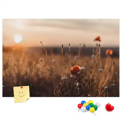 Kurk prikbord Veld zonsopgang