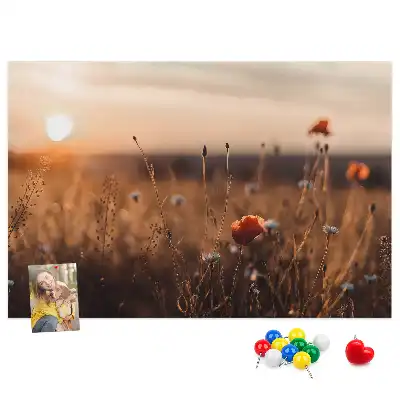 Kurk prikbord Veld zonsopgang