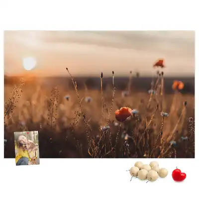 Kurk prikbord Veld zonsopgang