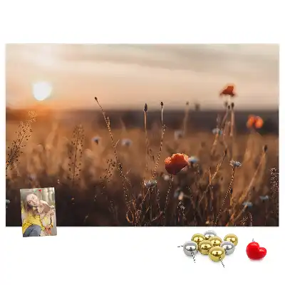 Kurk prikbord Veld zonsopgang