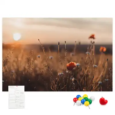 Kurk prikbord Veld zonsopgang