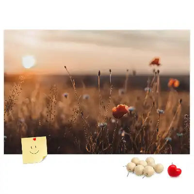 Kurk prikbord Veld zonsopgang