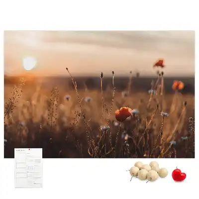 Kurk prikbord Veld zonsopgang
