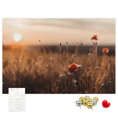 Kurk prikbord Veld zonsopgang