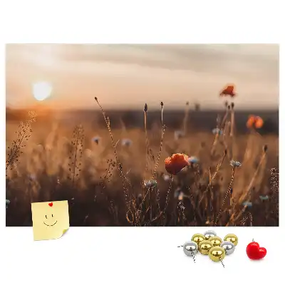Kurk prikbord Veld zonsopgang