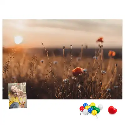 Kurk prikbord Veld zonsopgang