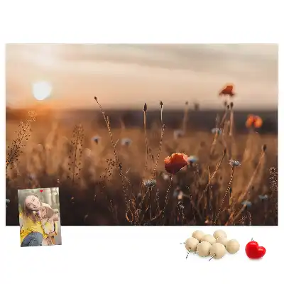 Kurk prikbord Veld zonsopgang