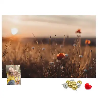 Kurk prikbord Veld zonsopgang