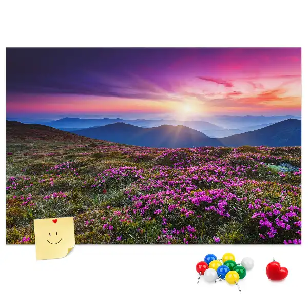 Kurk prikbord Zonsopgang bloemen