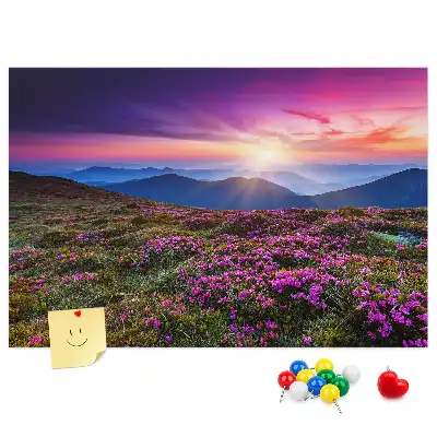 Kurk prikbord Zonsopgang bloemen