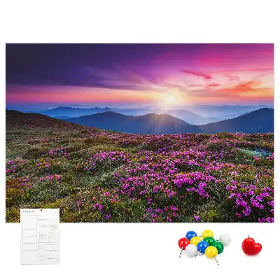 Kurk prikbord Zonsopgang bloemen
