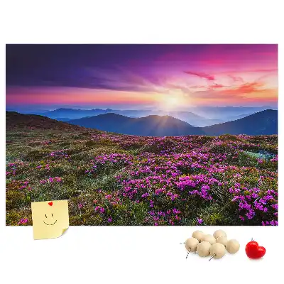 Kurk prikbord Zonsopgang bloemen
