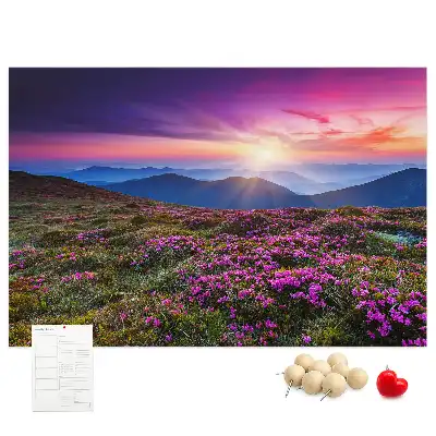 Kurk prikbord Zonsopgang bloemen