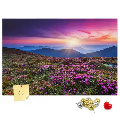 Kurk prikbord Zonsopgang bloemen